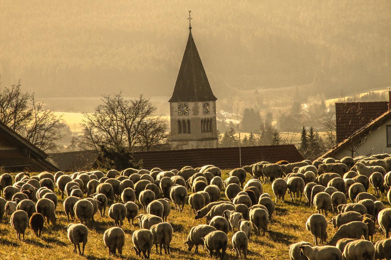 Landgasthof Alpenblick An Der Wutachschlucht Suedschwarzwald Löffingen Εξωτερικό φωτογραφία
