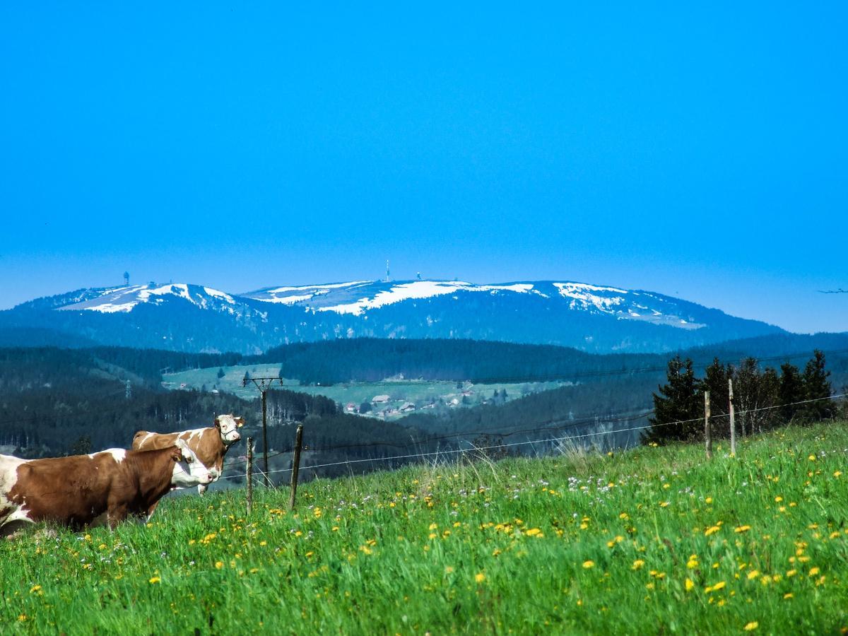 Landgasthof Alpenblick An Der Wutachschlucht Suedschwarzwald Löffingen Εξωτερικό φωτογραφία
